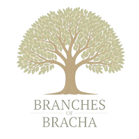Branches Of Bracha